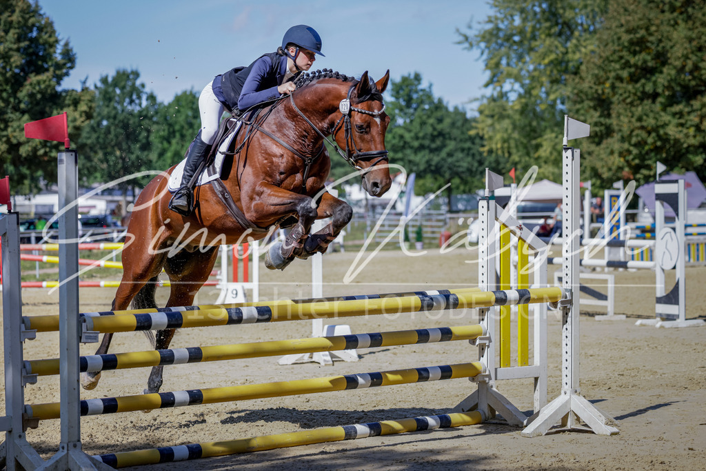 20250906-_3LI4108 | Tierfotografie Pferde, Hunde, Katzen, Haustiere.
Turnierfotografie Reitturniere, Reiten, Springreiten, Dressur in Hanau, dem Main-Kinzig-Kreis und dem Rhein-Main- Gebiet um Frankfurt