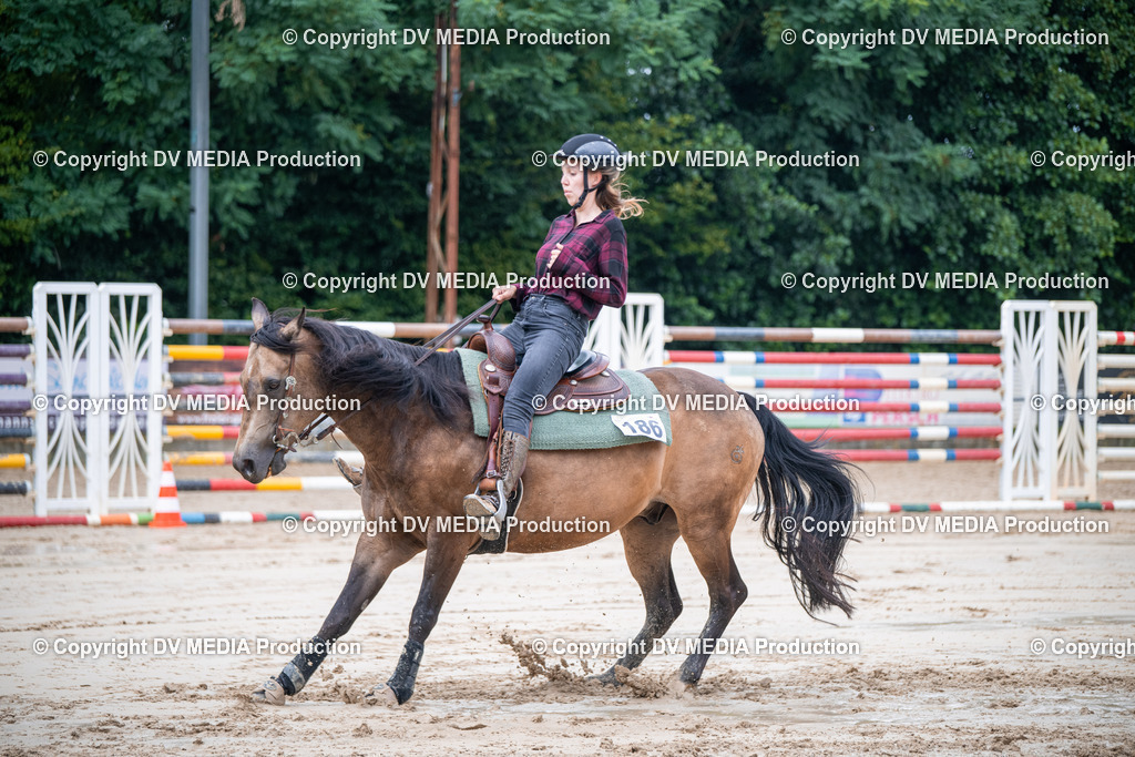 ZS2_4261 | dv-media-shop - Realisiert mit Pictrs.com