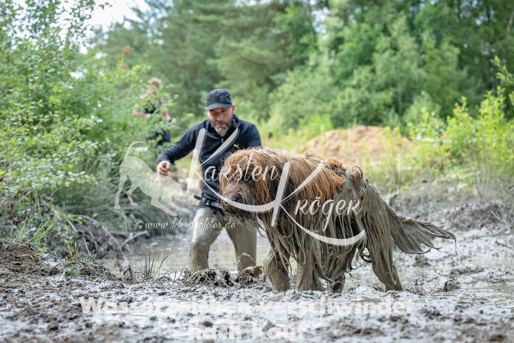 1015_ZZ91307 | kk-dogfotos