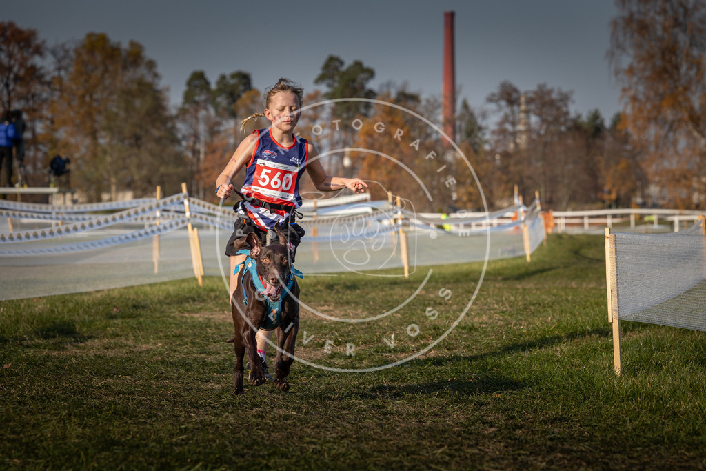 CaniXpix_0L8A9275 | Hundefotografie, Tierfotograf, Pfotenfotografie, Fotoshooting Hund, Hunde Portrait, Hundesport, Hundeportraits, Heideshooting, Hunde, Sportfotograf, Hundefotograf, Turnierhundsport, THS,  - Realisiert mit Pictrs.com