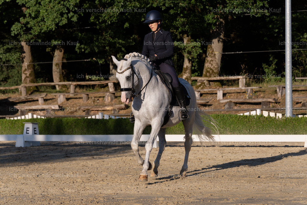 WM_DR_133_sinafilmart_IN04971 | working equitationturnier fotograf videograf stoibphotography marixx film working equitation deutschland reitsport turnierfotografie eventfotografie equestrian events