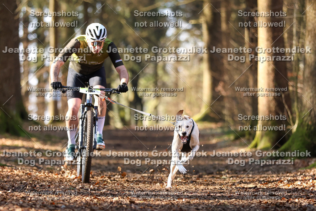 Dog Paparazzi - VCC26-923 | Dog Paparazzi Jeanette Grottendiek Fotografie & Videografie - Realisiert mit Pictrs.com