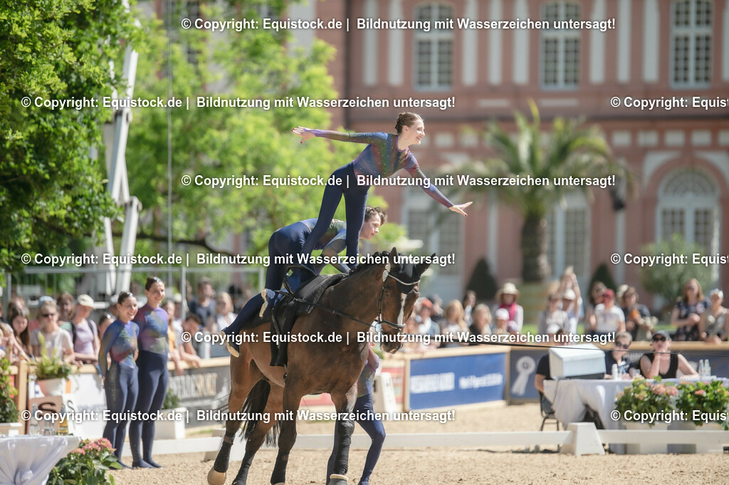 20230528_Voltigieren_NASPA_0478 | equistock