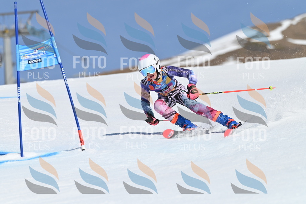 BGV_8784 | holidayphoto