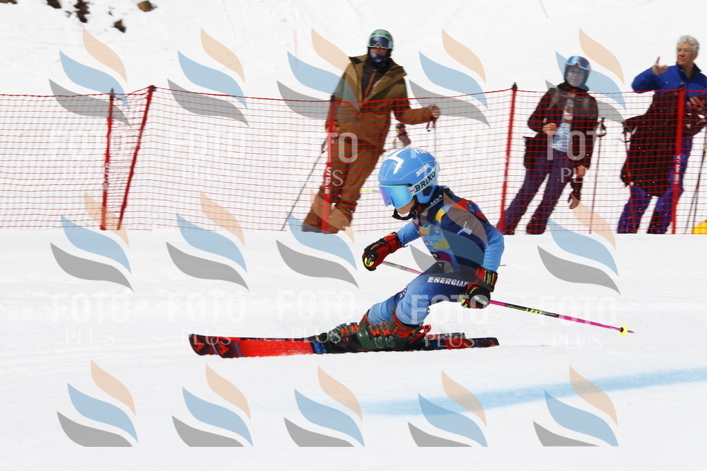 _U3G6047 | holidayphoto