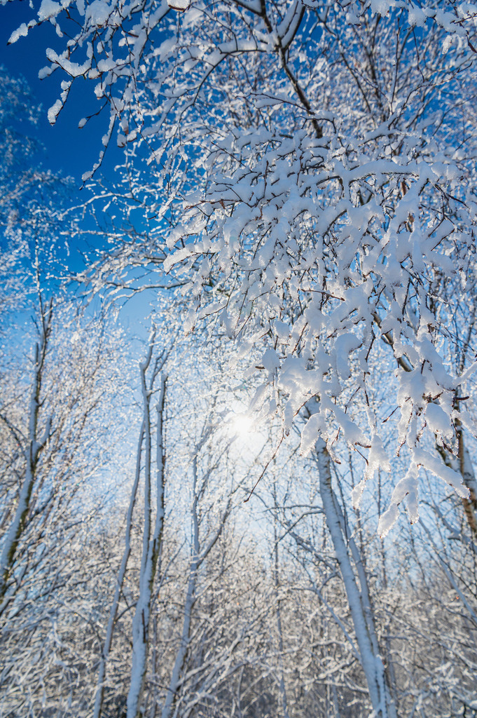 2023_03_11_MCP7294 | Hochwertig gedruckte Fotografien für die Wand, als Kalender und zum Verschenken. Hamburg & Norddeutschland und überall wo ich mit der Kamera unterwegs war.