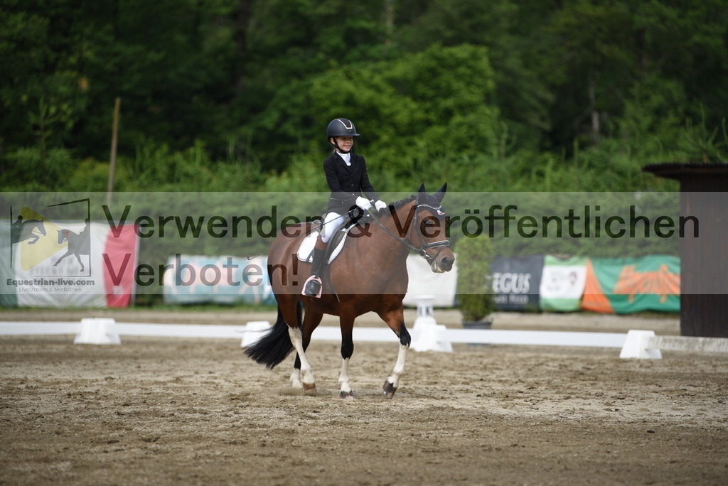 DSC_8334 | equestrian-live-com