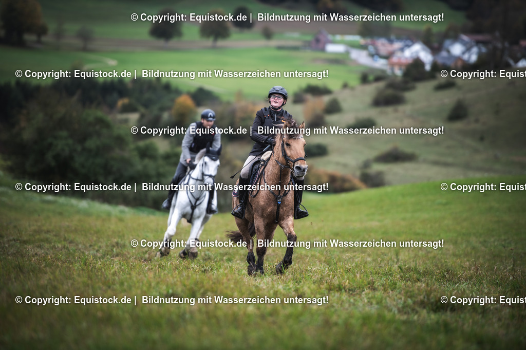 20241013_Jagd-Marbach_0249 | Foto: Thomas Hartig