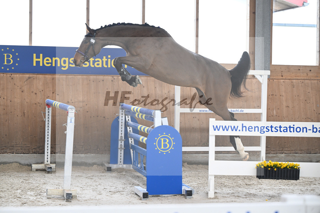 Kat-Nr. 11 Zara von Imhoff v. Catoki_Imhoff_14260628 | hf-fotografie - Realisiert mit Pictrs.com