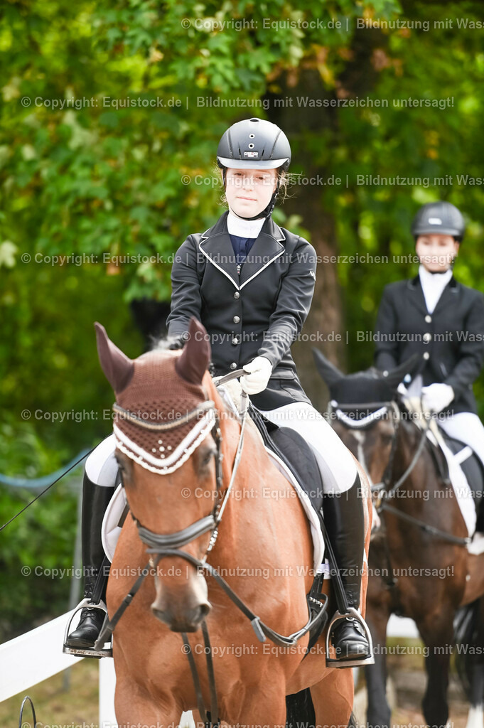 20230716_10-1_Reiter-WB Schritt - Trab - Galopp_0028 | equistock