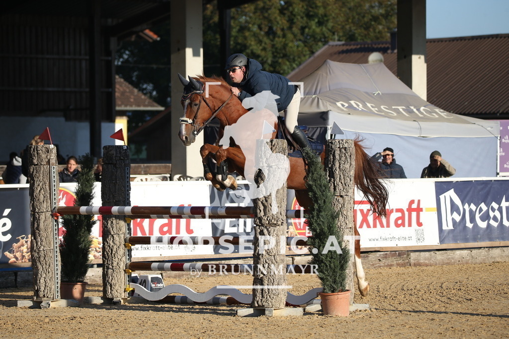 DL2Q0624 | Willkommen bei Brunnmayr - Design & Fotografie – Ihrem Spezialisten für Reitturniere und Pferdeveranstaltungen in Oberösterreich, Salzburg und Bayern! Seit über 17 Jahren sind wir leidenschaftlich dabei.