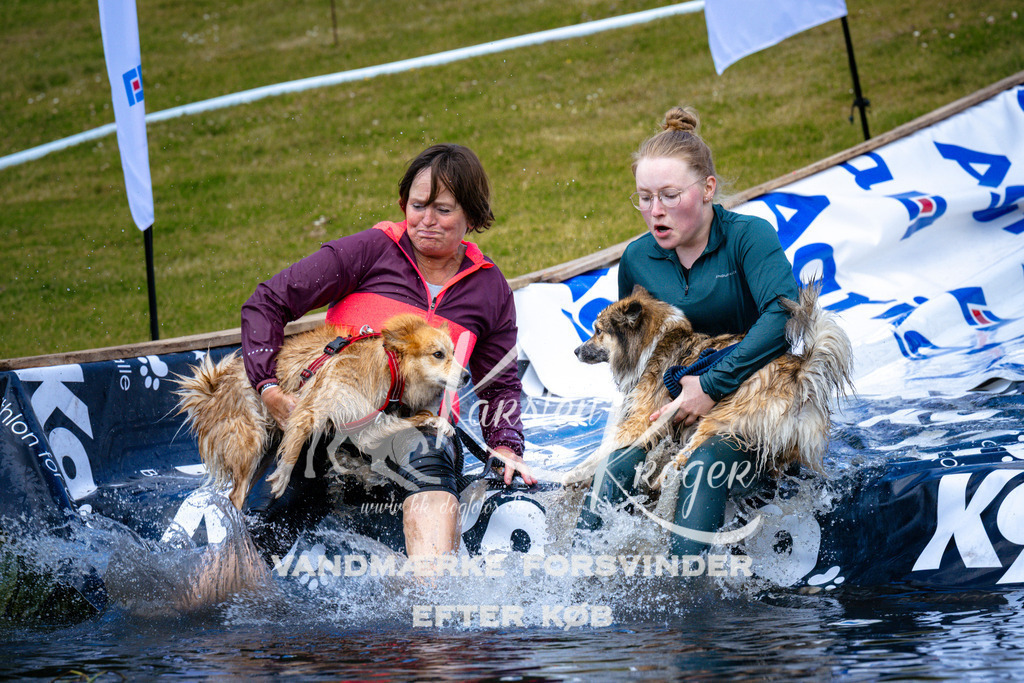 _ZZ948831004 | kk-dogfotos