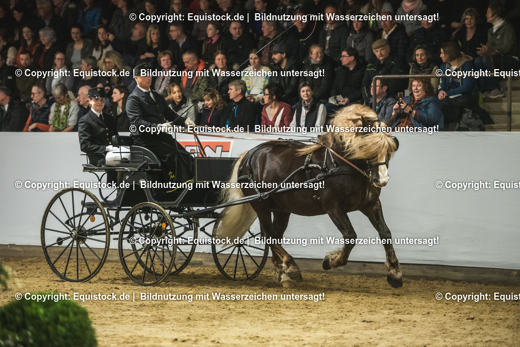 20240302_Hengstvorstellung_Marbach_TOMsPiC_0587 | equistock