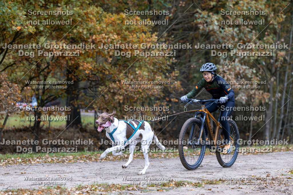 Dog Paparazzi - SD CaniX Championship 2025-46 | Dog Paparazzi Jeanette Grottendiek Fotografie & Videografie