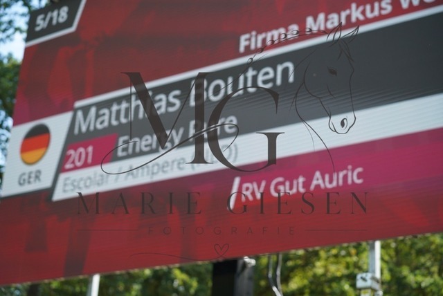 VAN02238 | Marie Giesen Fotografie - Realisiert mit Pictrs.com