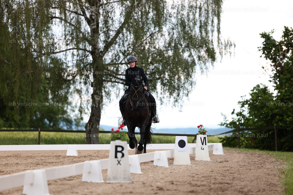 KlasseM_Stoibphotography_C2_L6214.JPG | working equitationturnier fotograf videograf stoibphotography marixx film working equitation deutschland reitsport turnierfotografie eventfotografie equestrian events