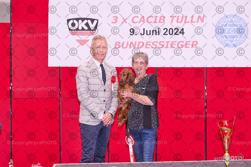 202406_ÖKV-IHA-Tulln24_NZ9_9524 | proPHOTO - Realisiert mit Pictrs.com