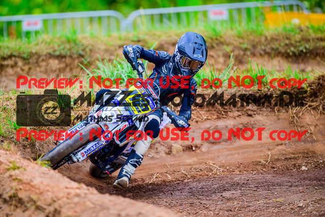 MaZZes_FotoMatrix_240817_6007705_8110 | ROOKIES