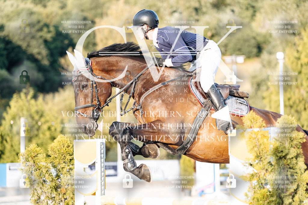 CK900985 | Turnierfotografie Pferdefotografie Trier Rheinland-Pfalz Pferdesport Reitsport Tierfotografie Sportfotografie Pferdevideo Pferdevideografie Equestrianvideography equestrianphotography  - Realisiert mit Pictrs.com