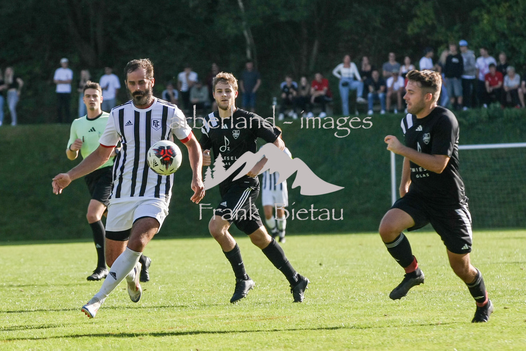 993T6367 | Jan Pysek, li.