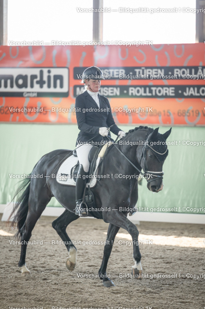 _D5A0717 | Emotionale Pferde- & People-Fotografie rund um Heidelberg, Leimen & Umgebung. Natürliche Fotos von Pferd, Mensch & Familie. Jetzt Termin sichern!