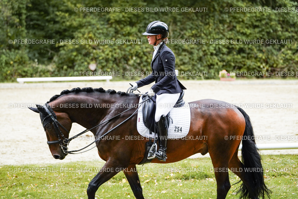 DSC09834 | Pferdegrafie