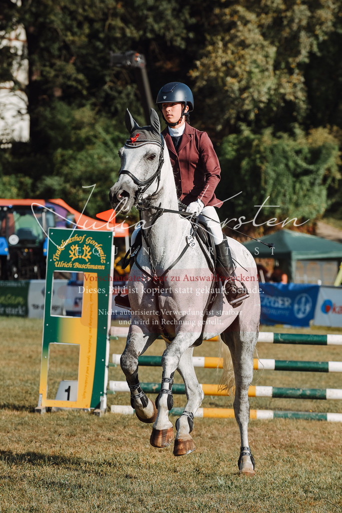 DSC_5248 | Pferde- und Turnierfotografie in Westsachsen. Pferdeportraits, Auftragszeichnungen und intuitive Kunst.