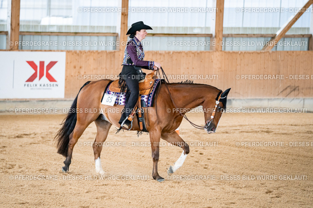 DSC01524 | Pferdegrafie