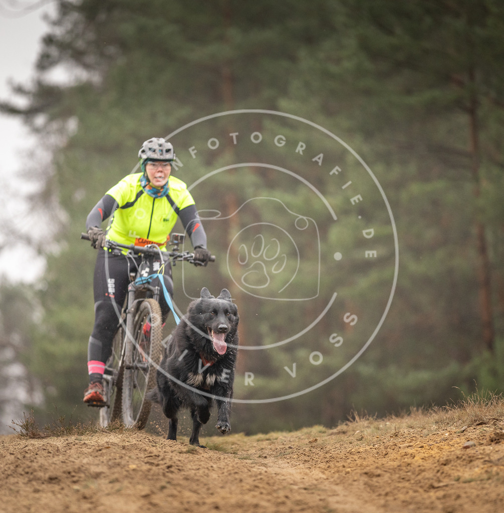 Pfotenfotografie_DV3A3830 | Hundefotografie, Tierfotograf, Pfotenfotografie, Fotoshooting Hund, Hunde Portrait, Hundesport, Hundeportraits, Heideshooting, Hunde, Sportfotograf, Hundefotograf, Turnierhundsport, THS,  - Realisiert mit Pictrs.com