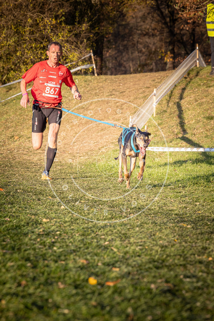 CaniXpix_0L8A0995 | Hundefotografie, Tierfotograf, Pfotenfotografie, Fotoshooting Hund, Hunde Portrait, Hundesport, Hundeportraits, Heideshooting, Hunde, Sportfotograf, Hundefotograf, Turnierhundsport, THS,  - Realisiert mit Pictrs.com