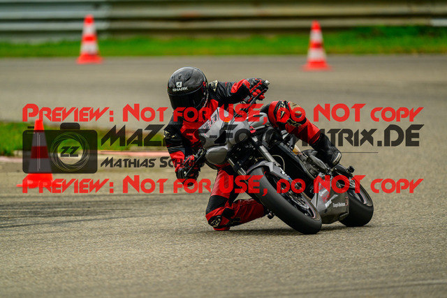 MaZZes_Fotomatrix_20241003_6007705_1180-2 | GELB