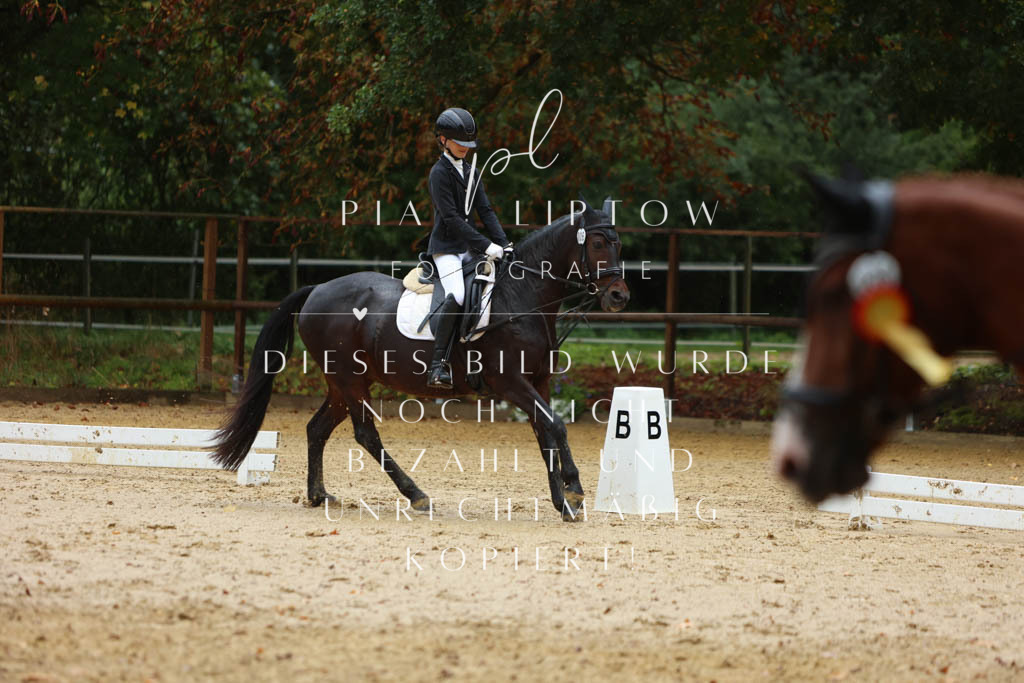 IMGM9367 | pl-fotografie