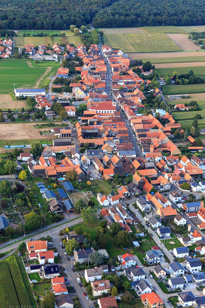 Luftbild: Ortsansicht aus Süden im Ortsteil Hayna in Herxheim im Bundesland Rheinland-Pfalz in Deutschland. Foto: IMG_129397.jpg vom 12.09.2021 durch Werner Riehm/FLY-FOTO.de