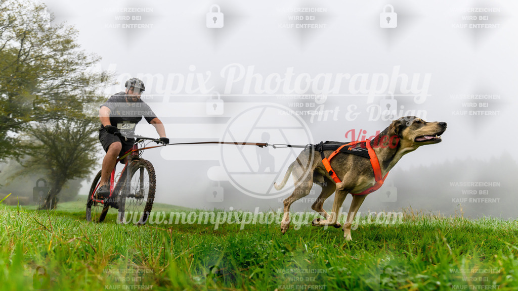 MompixPhotography_20TSB_E5_Bike-71 | PayLife