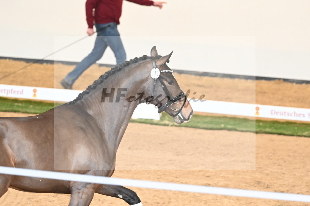 Kat.-Nr. 71 v. Va Bene_Müller_2240962 | hf-fotografie - Realisiert mit Pictrs.com