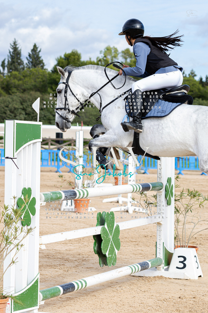 IMG_3402 | s-jay-photography - Realisiert mit Pictrs.com