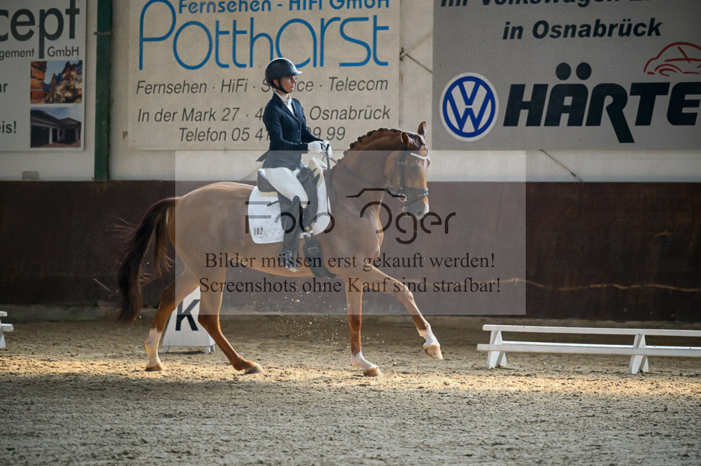 Reitturnier Voxtrup | Entdecke hochwertige Reitturnierfotos von Foto Oger. Professionell, emotional und authentisch – jetzt Lieblingsmomente im Shop bestellen.Deutschlandweite Turnierfotografie. - Realisiert mit Pictrs.com