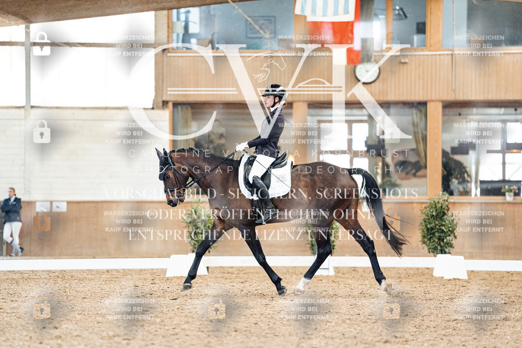 CK909247 | Turnierfotografie Pferdefotografie Trier Rheinland-Pfalz Pferdesport Reitsport Tierfotografie Sportfotografie Pferdevideo Pferdevideografie Equestrianvideography equestrianphotography  - Realisiert mit Pictrs.com