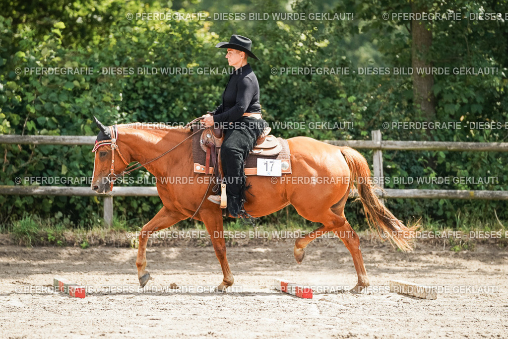 DSC06078 | Pferdegrafie