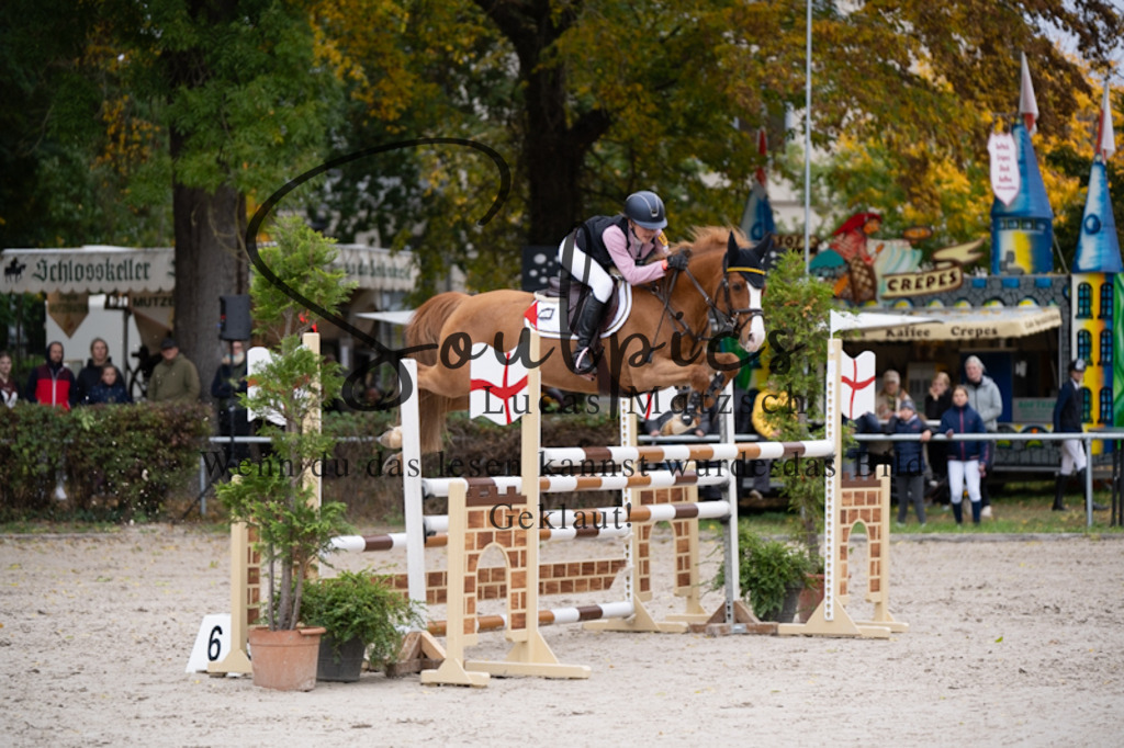 A7V00987 | Pferdefotograf