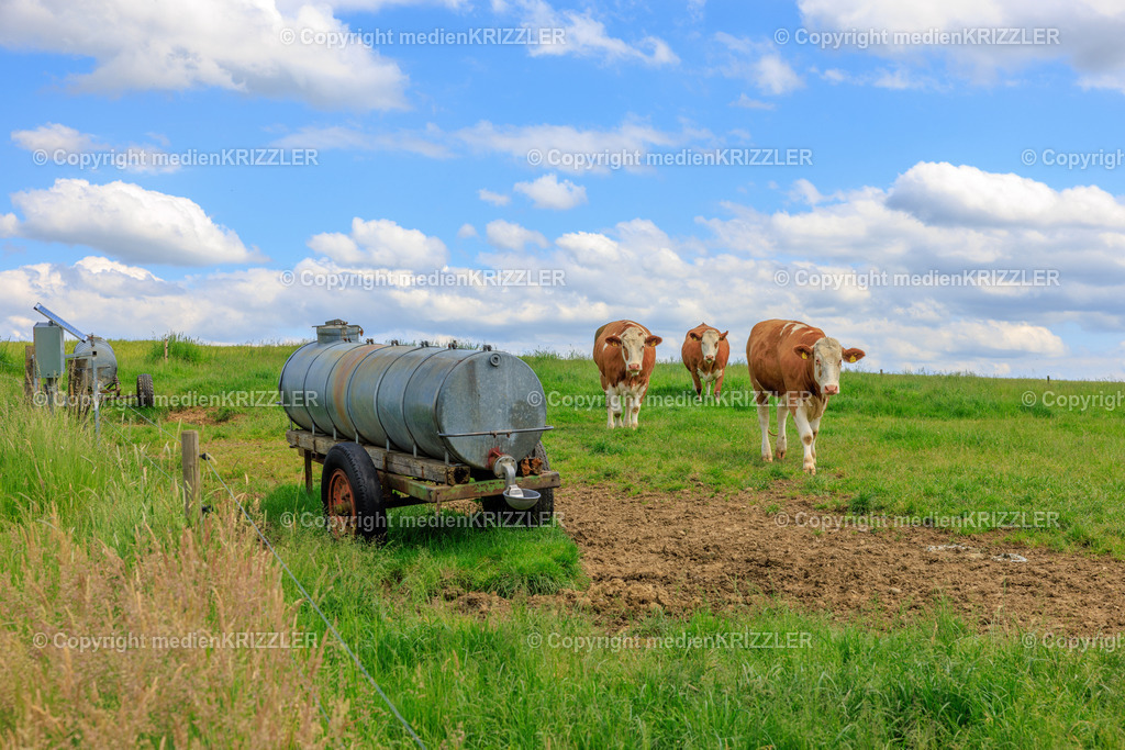 _J3A7884 | medienkrizzler - Realisiert mit Pictrs.com