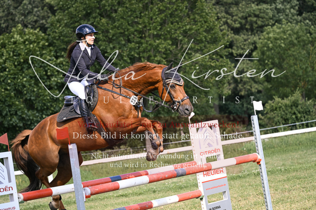 DSC_1376 | Pferde- und Turnierfotografie in Westsachsen. Pferdeportraits, Auftragszeichnungen und intuitive Kunst.