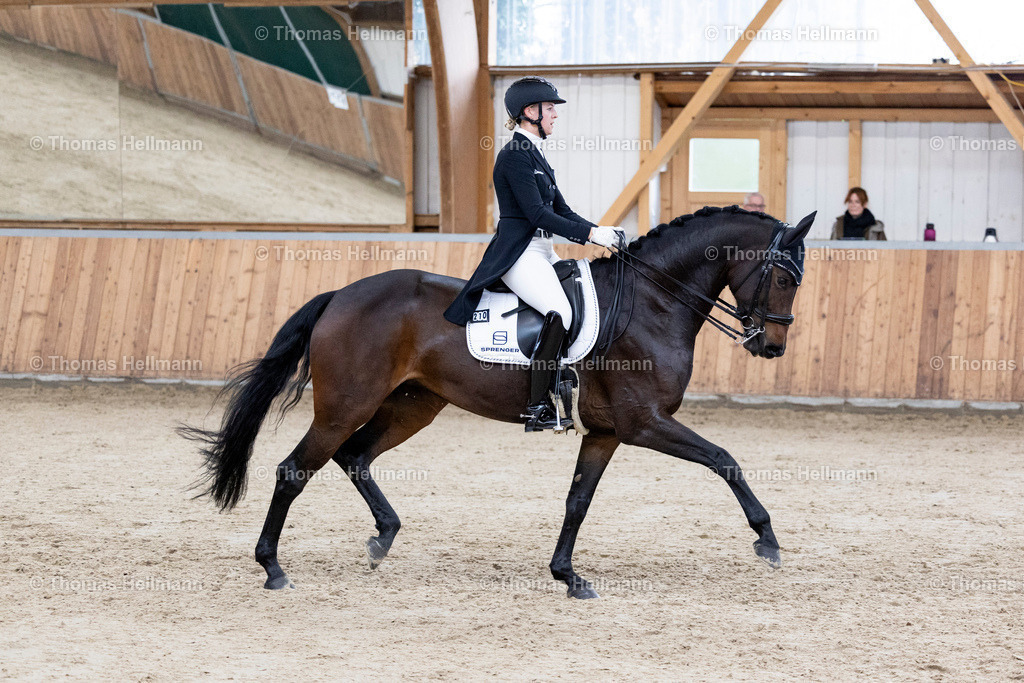 TH_210 Greta Busacker (GER)_ Frieda NRW_32324 | 210 Greta Busacker&nbsp;(GER), Frieda NRW beim Reitturnier Guxhagen-Dörnhagen 2025 am 10.10.25 in Dörnhagen, Reit- u. Fahrverein
