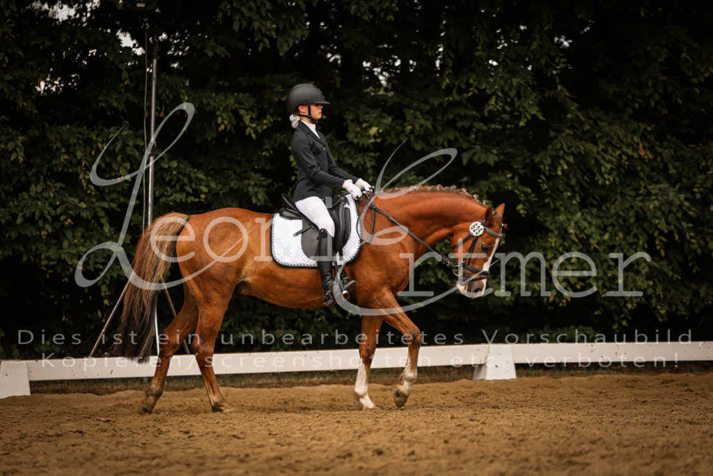 DoDrE00428 | Leoni Ertmer Photography - Realisiert mit Pictrs.com