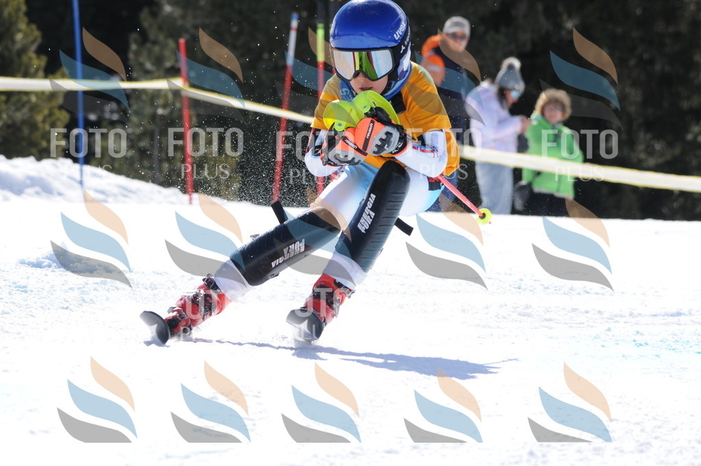 C8949 | holidayphoto