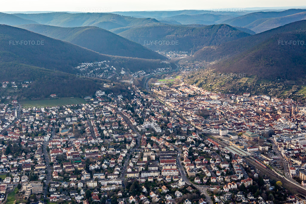 Luftbild: Ortsansicht von Südosten in Neustadt an der Weinstraße im Bundesland Rheinland-Pfalz in Deutschland. Foto: IMG_139978.jpg vom 14.03.2024 durch Werner Riehm/FLY-FOTO.de