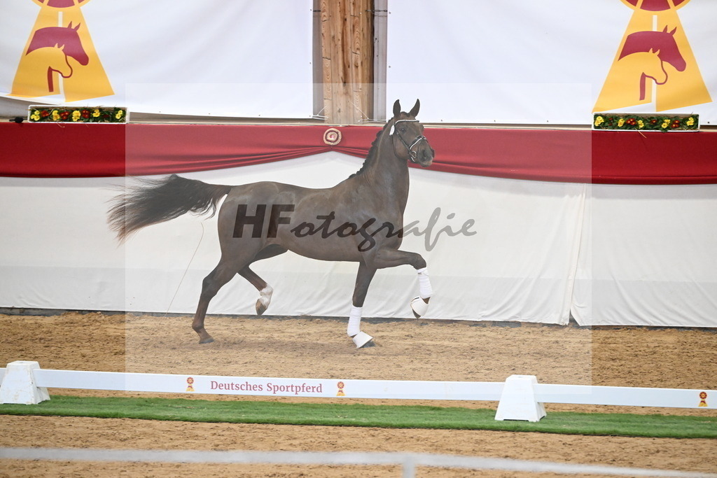Kat.-Nr. 47 v. Damontez_Pfefferle_2250112 | hf-fotografie - Realisiert mit Pictrs.com