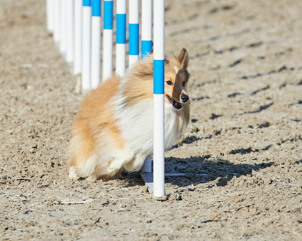 580A0116 | Peter Fridle Fotografie - Realisiert mit Pictrs.com