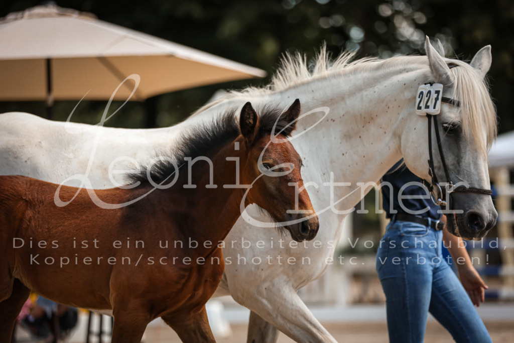 03.DoAB00034 | Leoni Ertmer Photography - Realisiert mit Pictrs.com