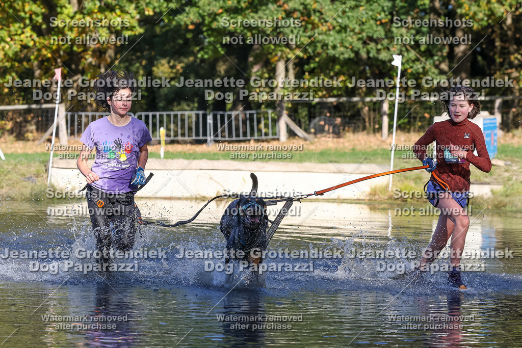 Dog Paparazzi - Strongdog 10-25-8931 | Dog Paparazzi Jeanette Grottendiek Fotografie & Videografie - Realisiert mit Pictrs.com